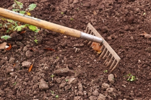 frische Wurmerde im Garten