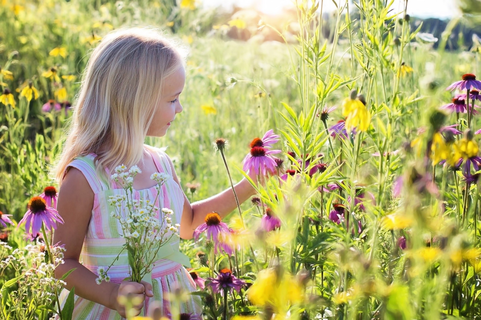 10 Tipps für nachhaltiges Gärtnern! - Bio Garten Produkte