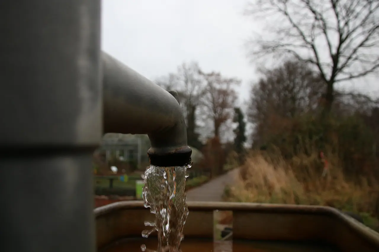 Wasserpumpe – für den schnellen Wassertransport im Garten - Bio