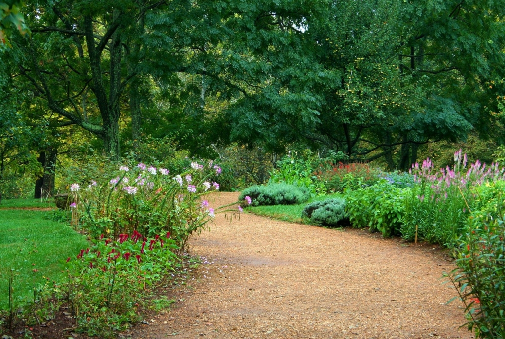 Wiedehopfhacke2 Bio Garten Produkte