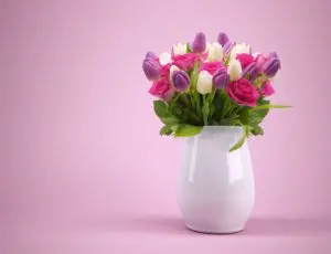 blumendünger für die vase