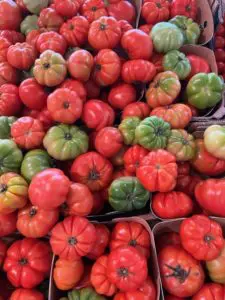 tomaten-dünger